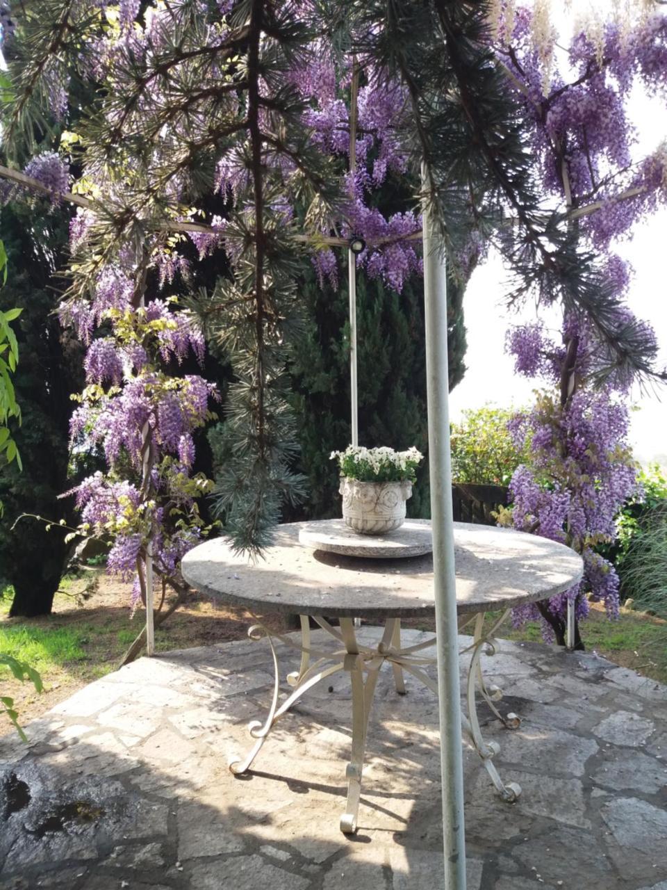 Novecento B&B Bollengo Kültér fotó