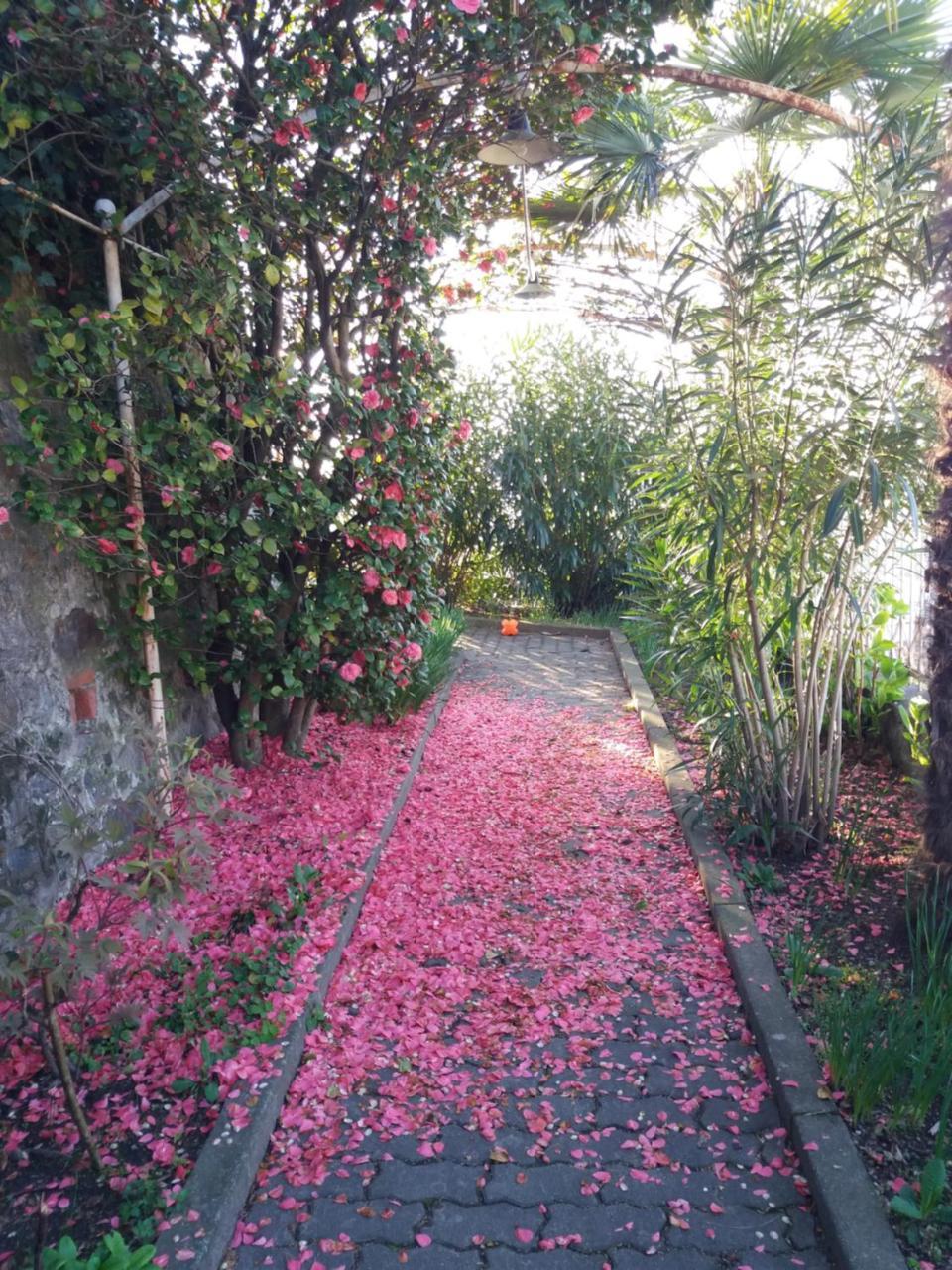 Novecento B&B Bollengo Kültér fotó
